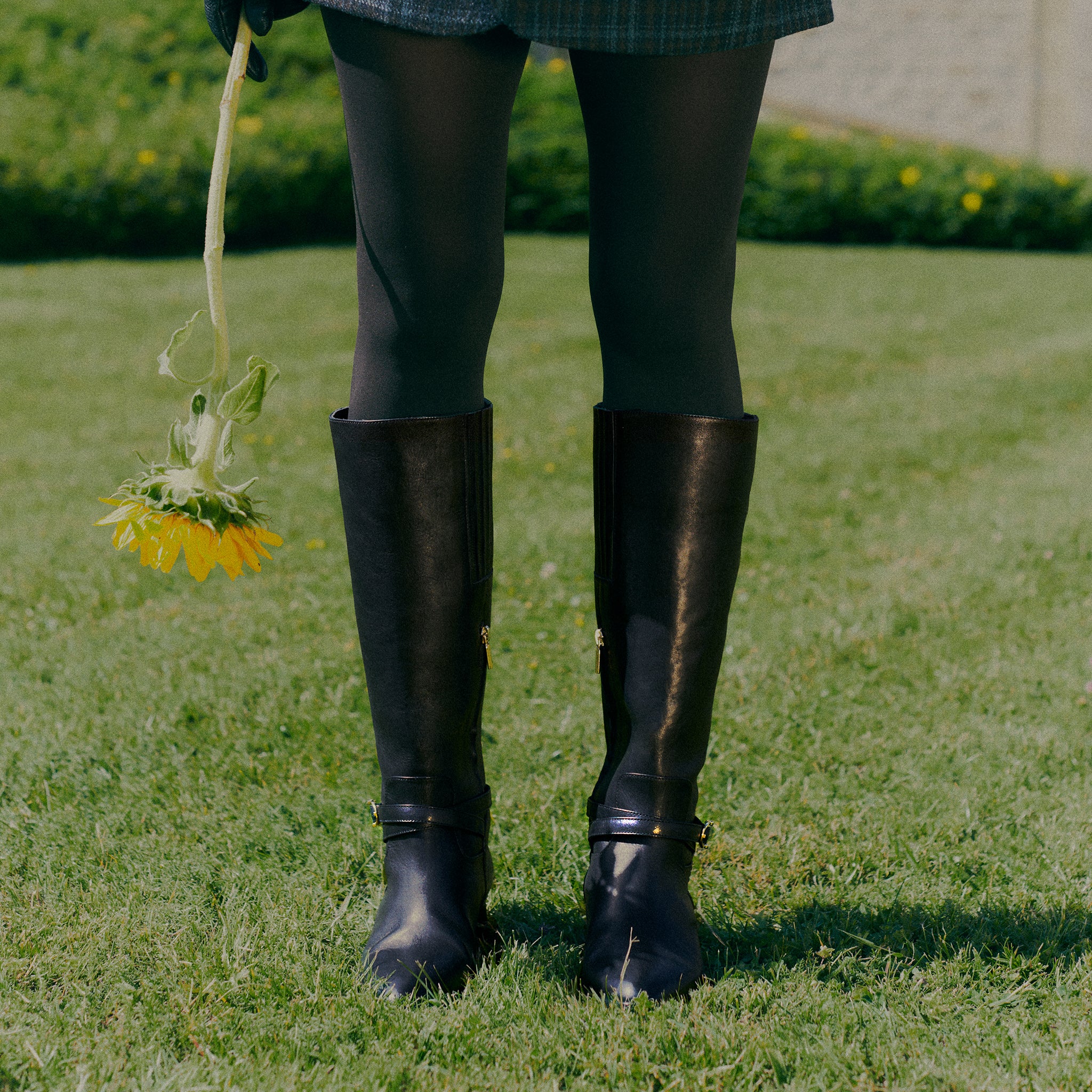 Black 2025 equestrian boots